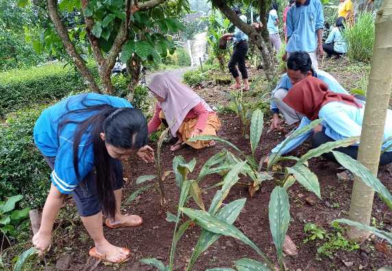 Mahasiswa KKN MIT DR KE-XIII UIN Walisongo Semarang ajak PKK desa Kliris  menanam TOGA (Tanaman Obat Keluarga)